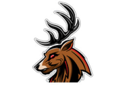 Buck stakes Entertainment