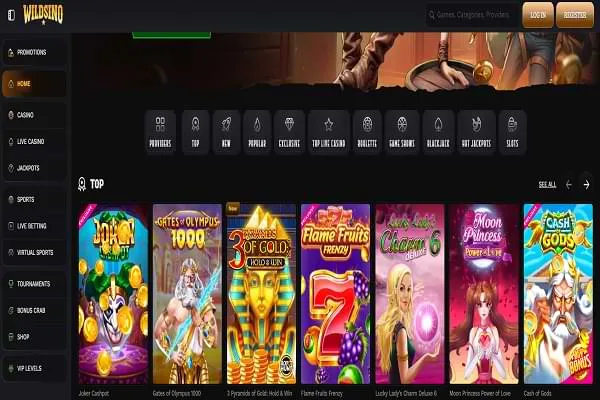 Wildsino Casino Home Page and Welcome Bonuses