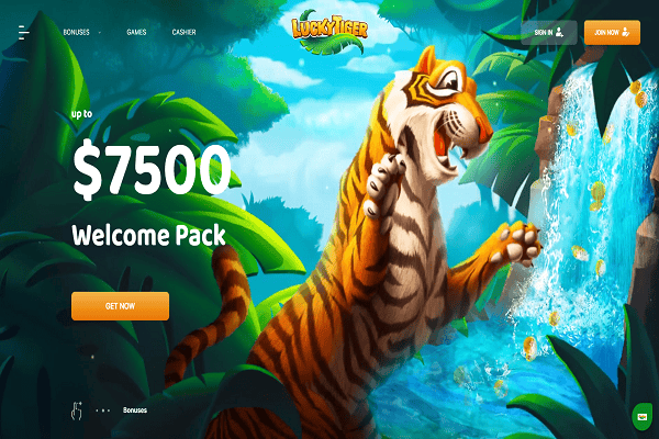 LuckyTiger Casino Home Page and Welcome Bonus