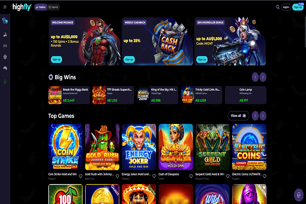 HighFlyBet Casino Home Page and Bonuses