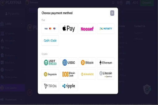 Playfina Casino Payment Methods