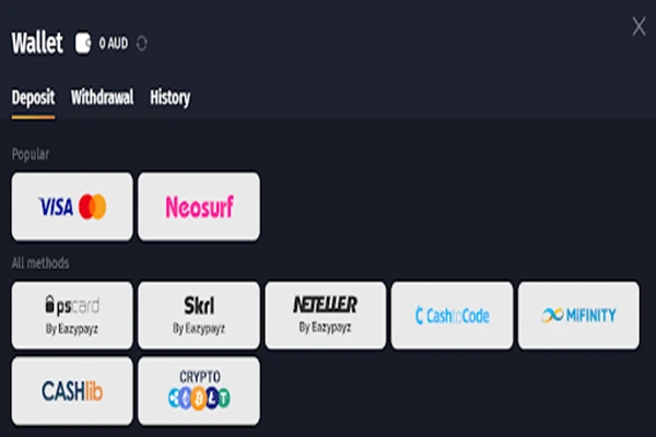WinShark Casino Deposit Methods