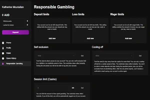 Responsible Gaming section available on CrownGold Casino