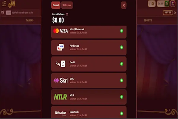 Payment Methods Available at Magius Casino
