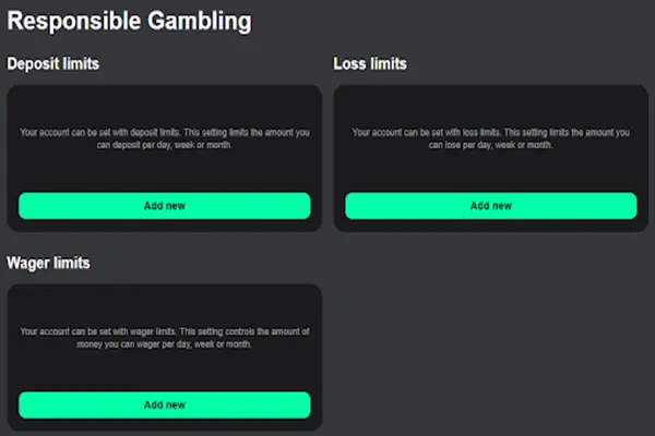 Responsible Betting Section on BetPrimeiro casino